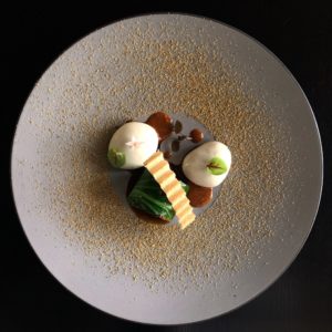 Sun Resorts Formation Continue 2